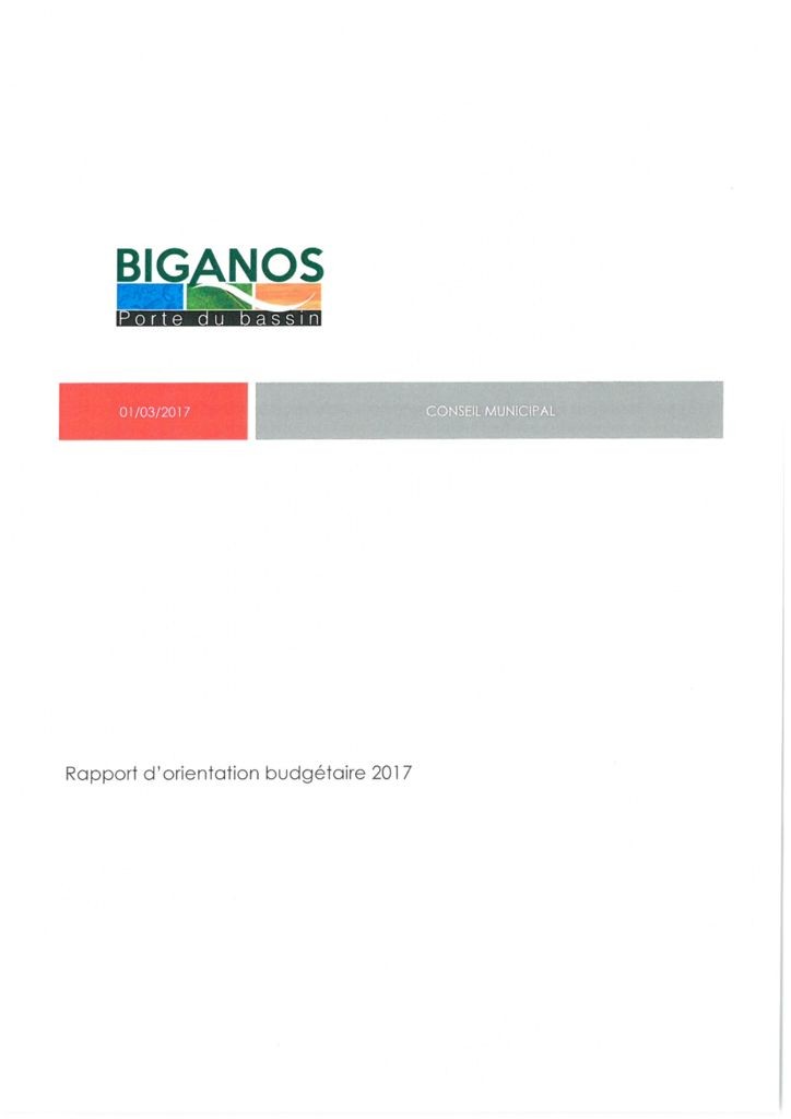 thumbnail of Rapport d’orientation budgétaire 2017